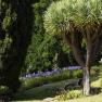 images/MadeiraCarousel/garden1_copy.jpg