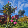 images/MadeiraCarousel/gardenSS_1.png